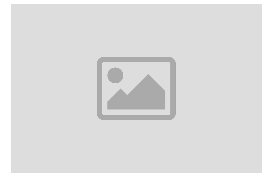 Curabitur pulvinar dui viverra libero lobortis